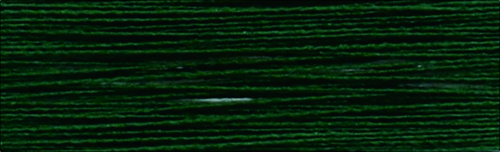 C647木绿