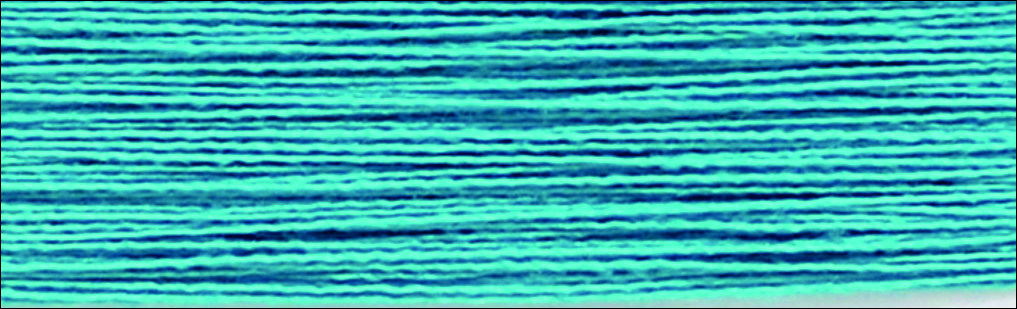 C699浅孔兰