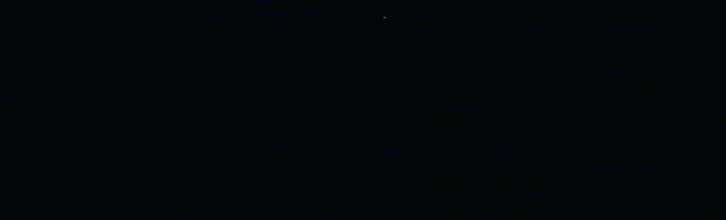 D715中宝兰