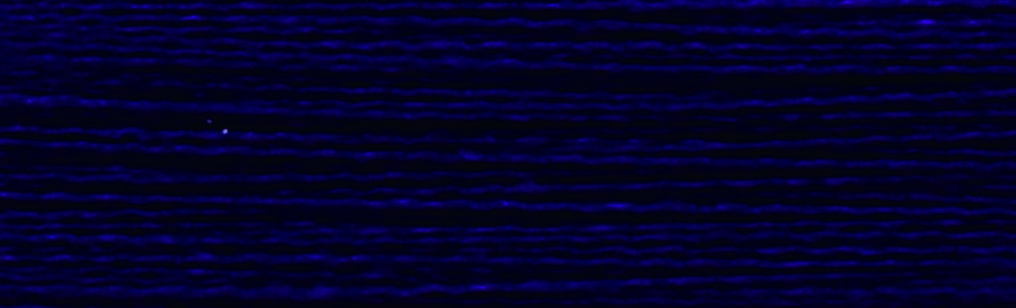 D729炎子